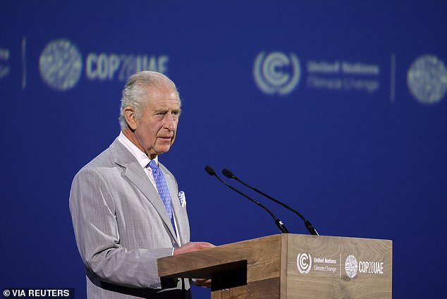 Beim COP28-Klimagipfel letzten Monat in Dubai (im Bild) sagte er den Staats- und Regierungschefs der Welt: „Die Erde gehört uns nicht“ und warnte, dass seine Enkelkinder „mit den Konsequenzen dessen leben müssen, was wir getan oder nicht getan haben“.