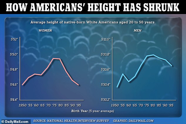 Die obige Grafik zeigt die durchschnittliche Körpergröße der Menschen im Jahr ihrer Geburt