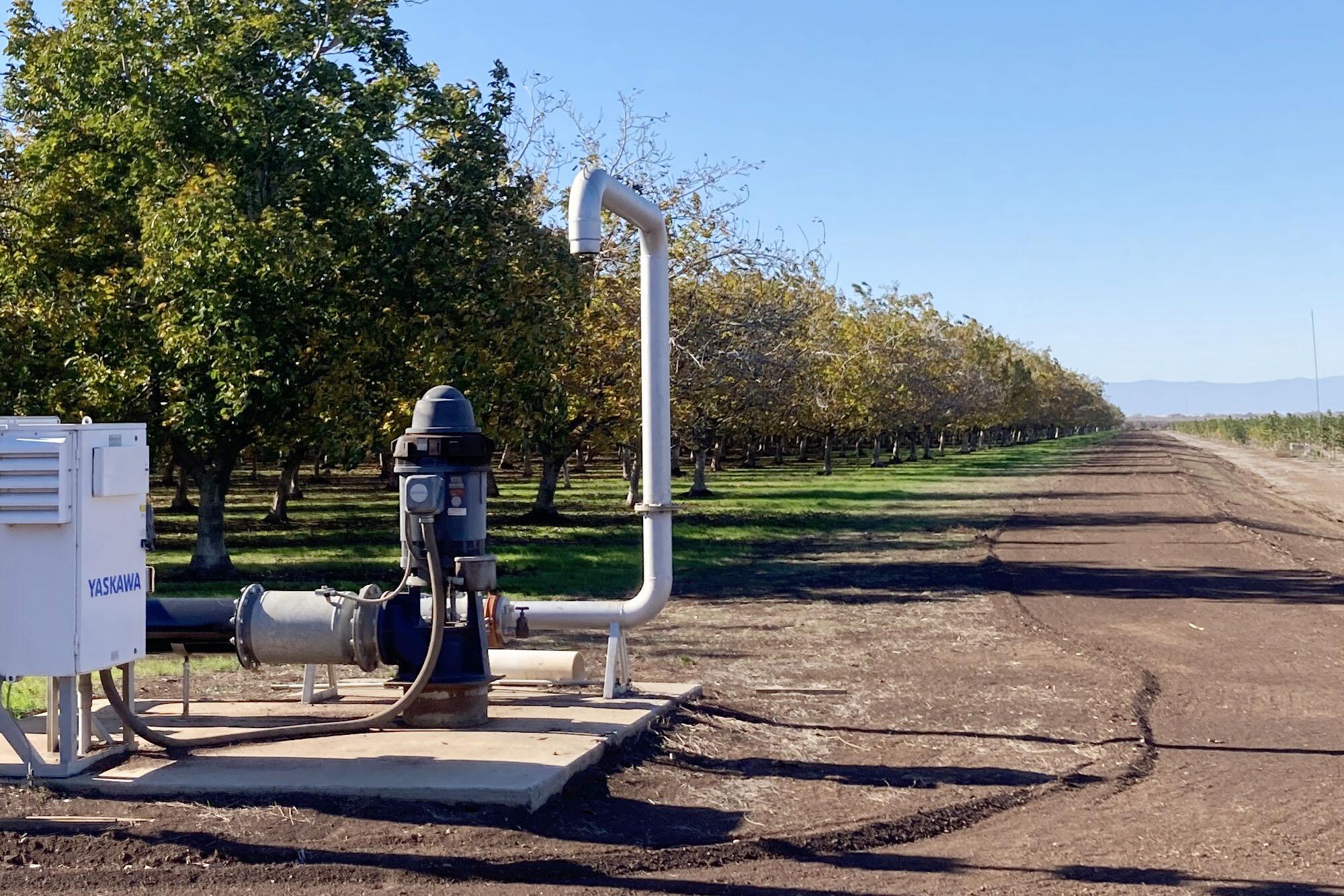 Eine Pumpe fördert Grundwasser, um einen Nussgarten in der Nähe von Nord im Butte County zu bewässern.