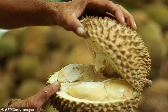 Bard schlug vor, dass Familien Durianfrüchte meiden sollten