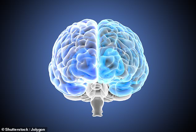Das Tiefenhirnstimulationsimplantat versucht, die Aktivität zwischen den Gehirnregionen zu steigern, die für Gedächtnis, Denken, Problemlösung und Bewusstseinslernen verantwortlich sind (Stockbild)