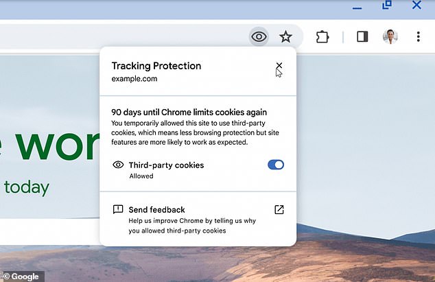 Wer möchte, dass Drittanbieter-Cookies aus irgendeinem Grund weiterhin in Chrome gespeichert werden, kann diese durch einen Klick auf das Augensymbol in der Suchleiste wieder aktivieren