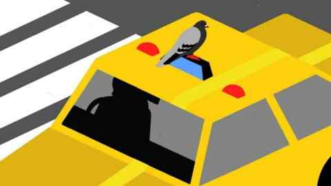Illustration einer Taube, die auf einem gelben Taxi steht.