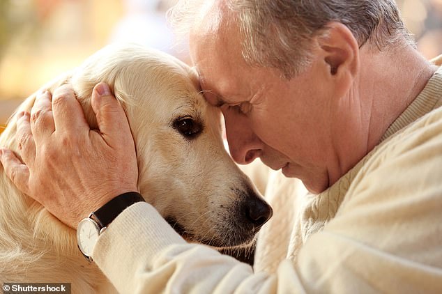 Forscher in Japan berichten, dass der Besitz eines Hundes das Risiko, an Demenz zu erkranken, um 40 Prozent senken kann.