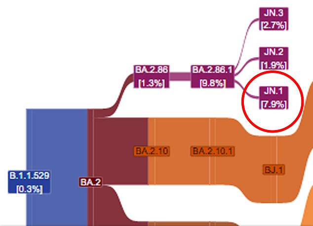 Die obere Grafik zeigt die im Vereinigten Königreich zwischen Juni und November dieses Jahres beobachtete Covid-Abstammungslinie.  JN.1 lag letzten Monat hinter 7,9 Prozent der Fälle.  Es handelt sich um einen Stamm von BA.2.86, bekannt als Pirola