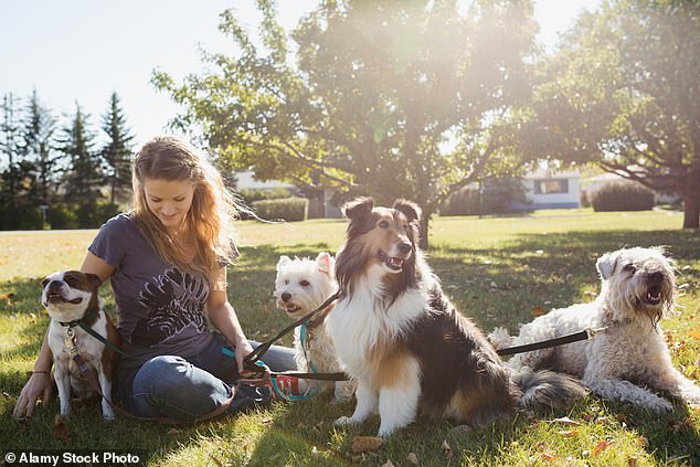 Eine Haustierversicherungsgesellschaft untersuchte, wie viel der durchschnittliche Amerikaner im Jahr 2023 für seinen Hund oder seine Katze ausgab, und stellte fest, dass viele Tierhalter mehr als erwartet ausgegeben haben.
