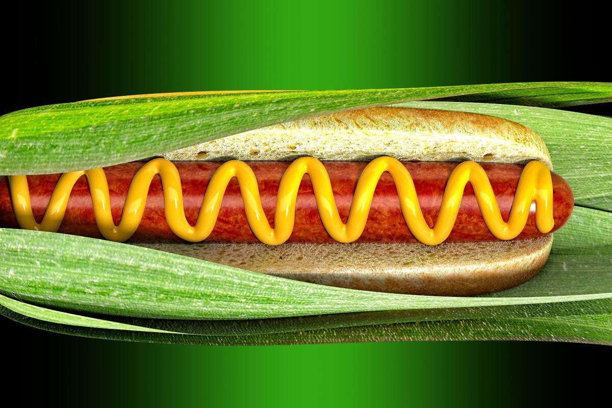 Ein Hot Dog im Brötchen, mit Senf gekräuselt, eingebettet in grüne Blätter