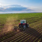 Nachhaltige Landwirtschaft: Hat die COP28 Ergebnisse gebracht?