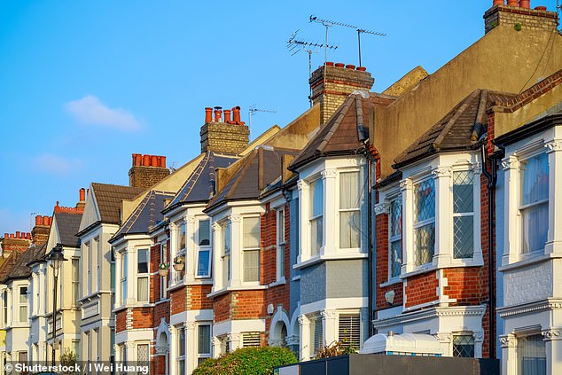Conversions: Homeowners could soon be able to convert houses into two flats without planning permission, under new Government plans to slash red tape