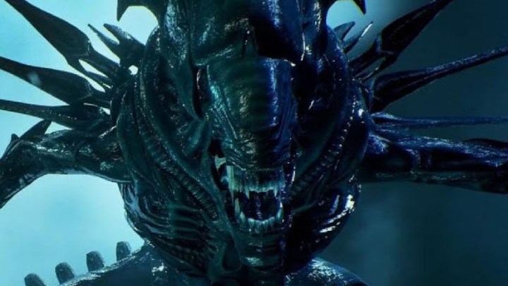Ein außerirdischer Xenomorph aus Alien: Covenant.