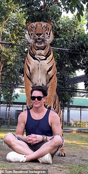 Für ein Foto war zu sehen, wie er verschmitzt grinste, während der Tiger seine beiden Pfoten auf seinen Rücken drückte