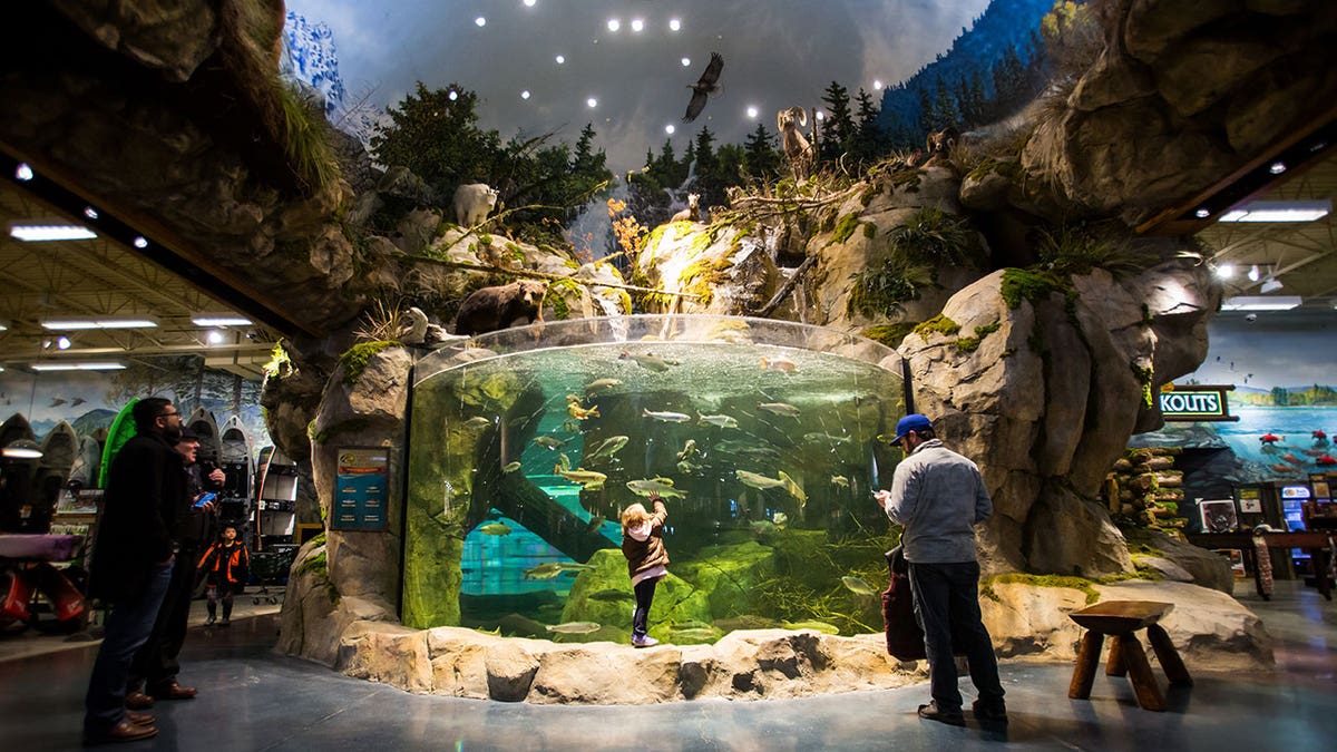 Ein Aquarium von Bass Pro Shop.