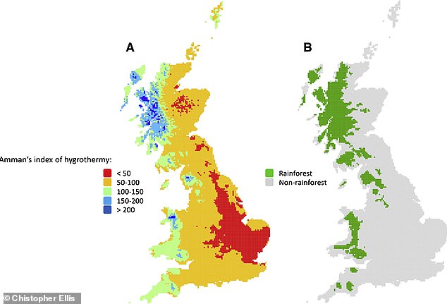 This map shows the areas of the UK that are considered rainforest, on the left the green areas show that 20 per cent of the country is suitable for rainforest growth