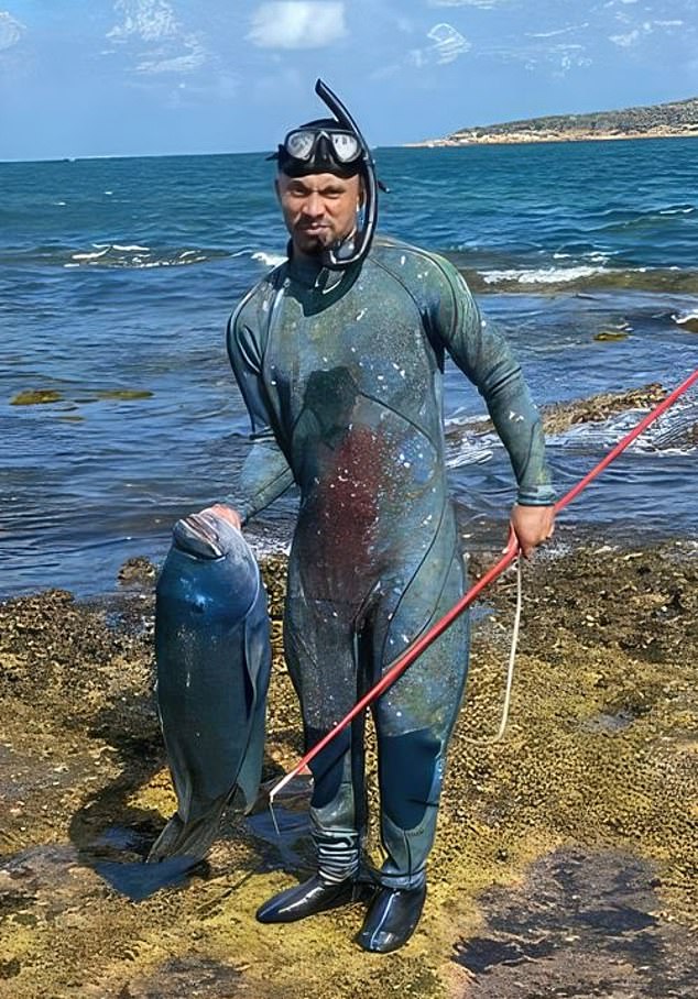 David Ireland sagt, dass der große Blaue Lippfisch, der illegal an einem Tauchplatz in Sydney getötet wurde (im Bild), nicht der berühmte Gus the Groper war, den die Einheimischen befürchten