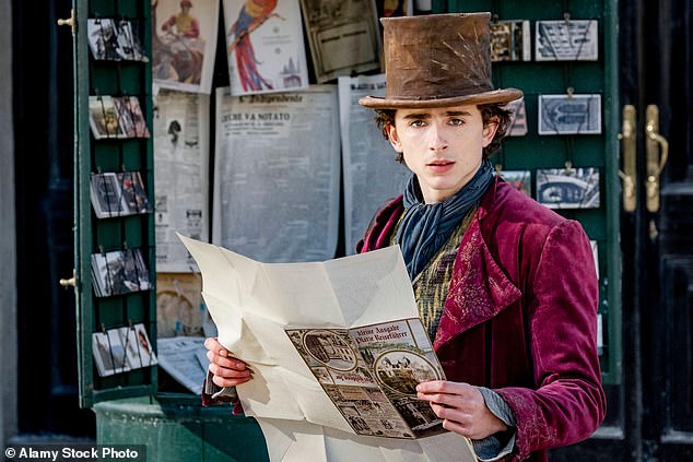 Fans of the film said they left theatres having found Timothee Chalamet strangely attractive in Wonka