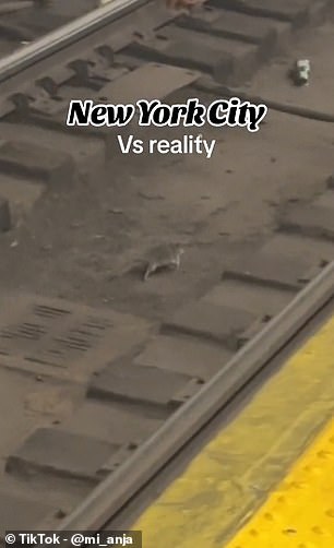 Ihre „Realitätsfotos“ zeigen jedoch, wie schockiert sie ist, als sie Ratten in der U-Bahn, Müll auf den Gehwegen und herumkriechende Kakerlaken vorfand