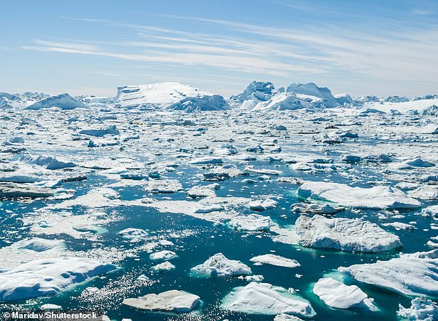 Auf seiner Website nennt das Unternehmen es das „reinste Eis der Welt“, „exquisit aus den unberührten Gletschern Grönlands“ (Aktenfoto).
