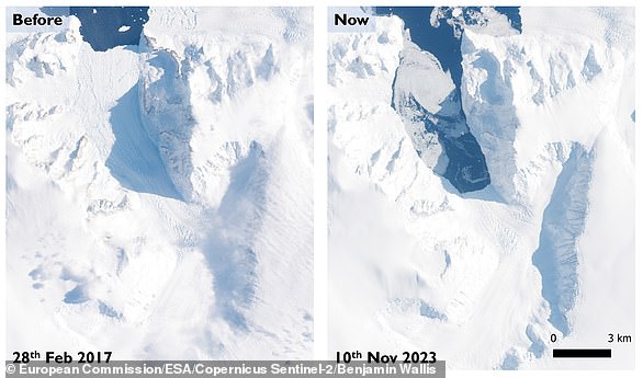 Dieses Bild zeigt den Cadman-Gletscher vor und nach dem Zusammenbruch seines Schelfeises – dem Teil am Ende des Gletschers, wo sich das Eis ins Meer erstreckt.  Das Bild links wurde im Februar 2017 aufgenommen;  Das rechte Bild wurde Anfang dieses Monats aufgenommen