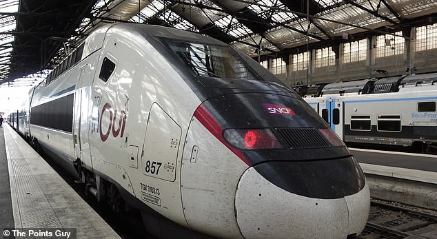 TGVs zwischen Paris und Marseille erreichen Geschwindigkeiten von bis zu 320 km/h.  Nickys Zug ist oben abgebildet