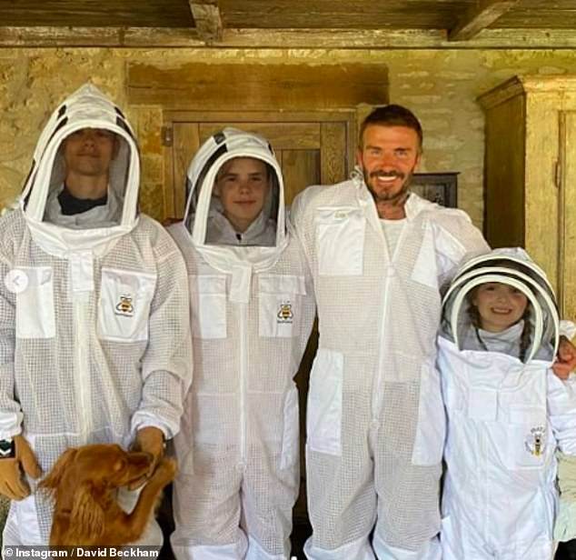 David begann während des Lockdowns erstmals mit der Herstellung seines eigenen Honigs (im Juni mit seinen Kindern Romeo, Cruz und Harper in Schutzanzügen abgebildet)