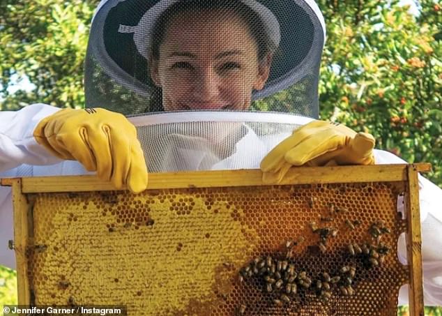 Jennifer Garner hat seit 2017 sieben Bienenstöcke in ihrem Haus in LA, die sie zusammen mit ihren drei Kindern pflegt