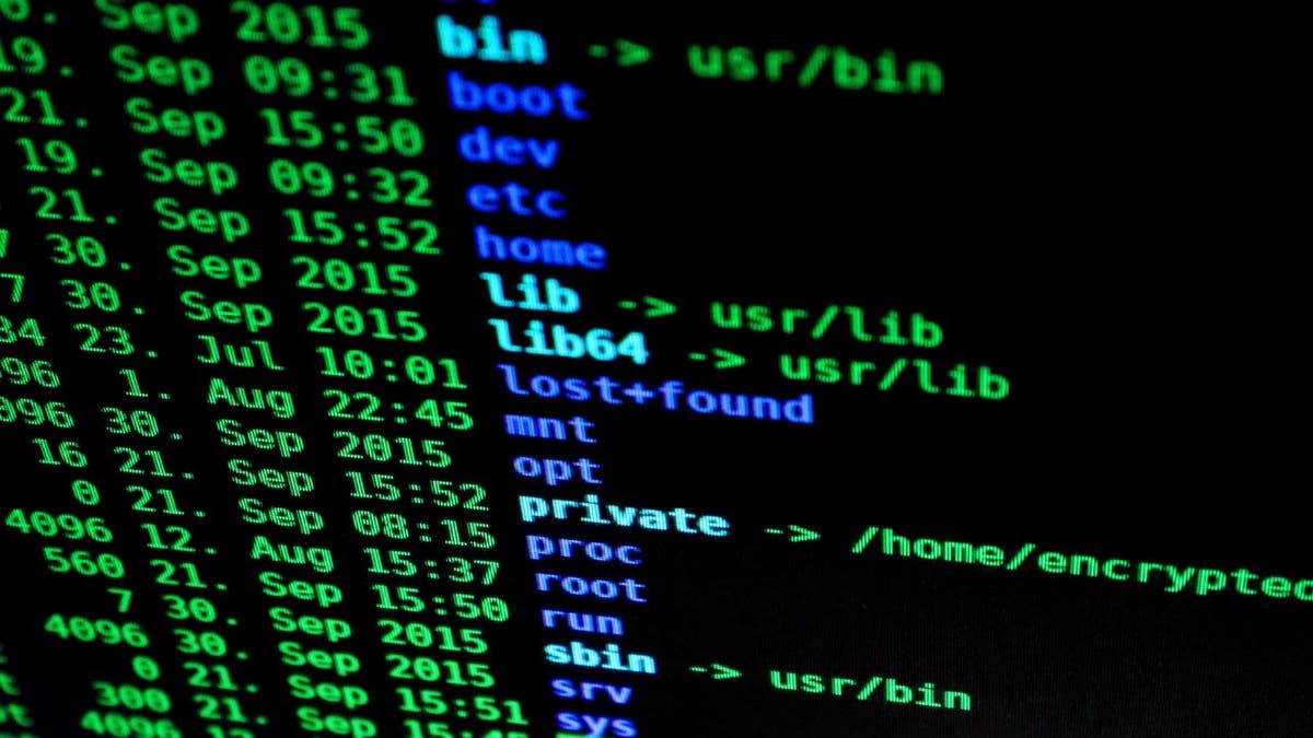 Der Heimatschutz warnt Bundesbehörden vor Hackern, die es auf Google Chrome und Excel-Tabellen abgesehen haben