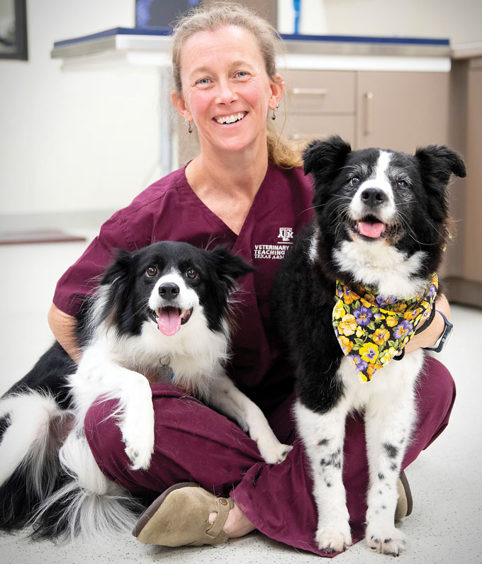 A woman in scrubs with two black and white dogs.