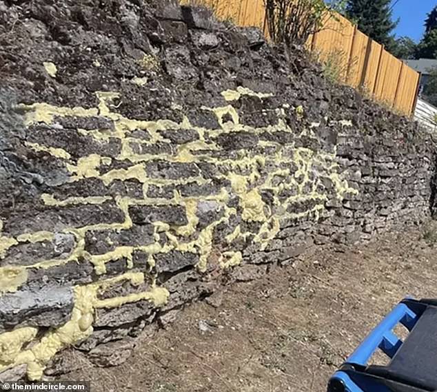Huch!  Ein Mann wurde dabei gesichtet, wie er versuchte, seine Steinmauer mit Sprühschaumisolierung zu verstärken