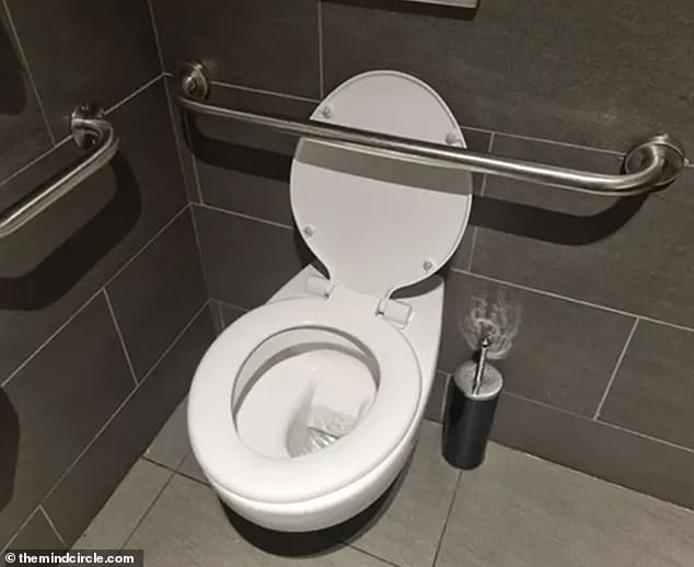Warum?  Bei einer Toilette war ein Handlauf über dem Deckel befestigt, sodass er nicht geschlossen werden konnte