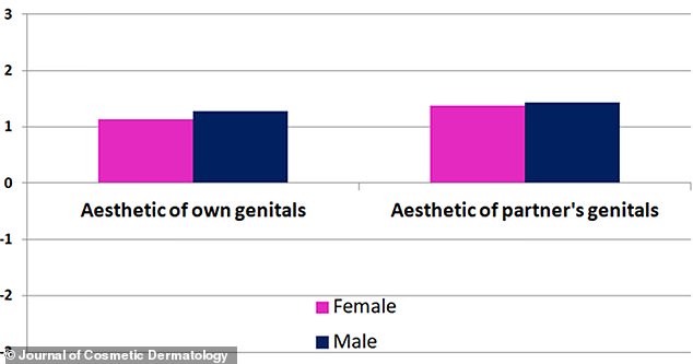 Sowohl Männer als auch Frauen bewerteten die Genitalien ihrer Partner und ihre eigenen Genitalien positiv auf einer Skala von -3 (am negativsten) bis +3 (am positivsten).