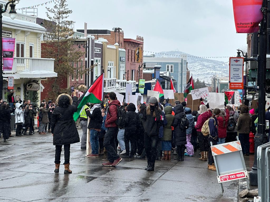 Bild eines Pro-Palästina-Protestes