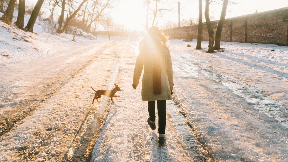 Eine Frau geht an einem Wintermorgen mit ihrem Hund spazieren