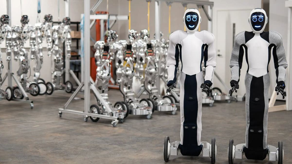 Eve, der Roboter, kann kochen, putzen und Ihr Zuhause bewachen
