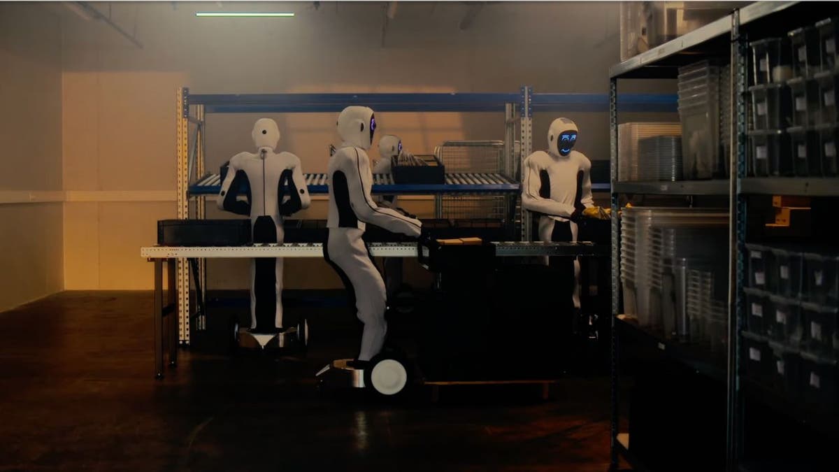 Eve, der Roboter, kann kochen, putzen und Ihr Zuhause bewachen