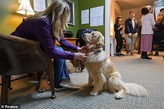 A woman fixes a scarf on Maxine, a golden retriever, as people vote after midnight on the day of the U.S. presidential primary election in the living room of the Tillotson House at Balsams Hotel in Dixville Notch, New Hampshire, U.S., January 23, 2024. REUTERS/Faith Ninivaggi