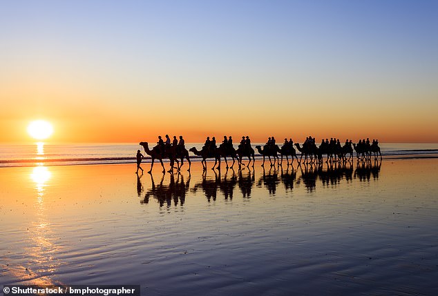 Wenig überraschend schaffte es Cable Beach (im Bild) in Broome, Westaustralien, auf Platz 1 der Liste der besten Strände, um den Sonnenuntergang zu beobachten