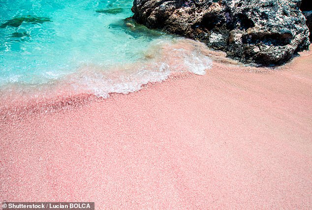 Der griechische Strand Elafonissi auf der Insel Kreta schaffte es aufgrund seiner Symphonie aus feinem rosa-weißem Sand und türkisfarbenem Wasser auf die Liste