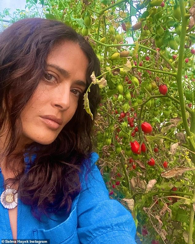 Sie nahm sich die Zeit, vor den reifen Tomaten, die die Landschaft füllten, für Selfies zu posieren