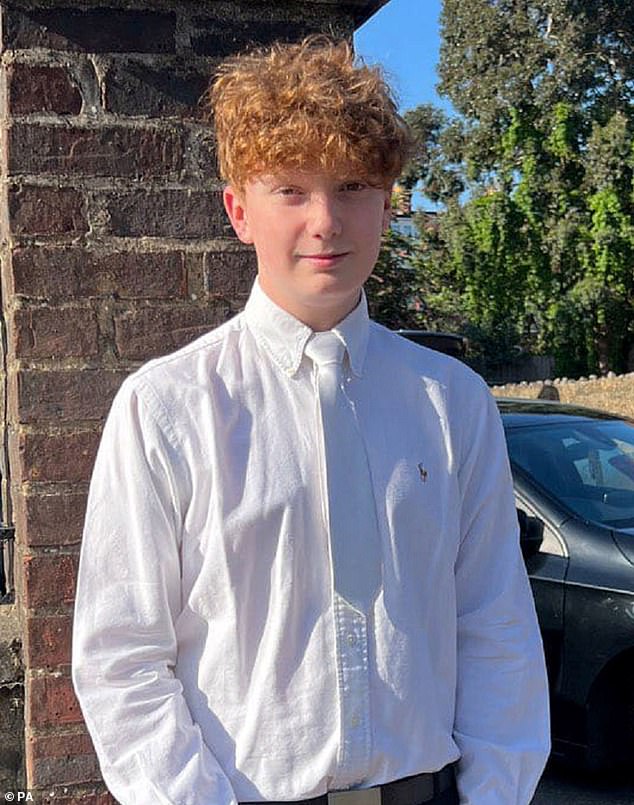 It comes amid a series of horrific stabbings across the UK including 16-year-old schoolboy Harry Pitman who was knifed to death as he stood and waited to watch the Primrose Hill New Year's Eve fireworks in Camden this month (Harry pictured)