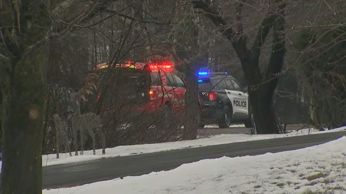 Rotes Feuerwehrfahrzeug, Polizeiauto, künstlicher Hirsch, Schnee auf dem Boden, Bäume