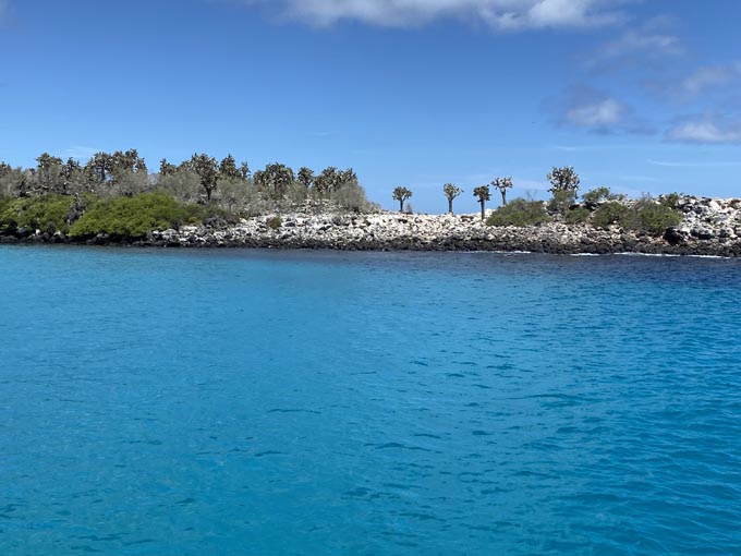 A small, rocky island covered in dry vegetation, including tall cacti and crystal blue water