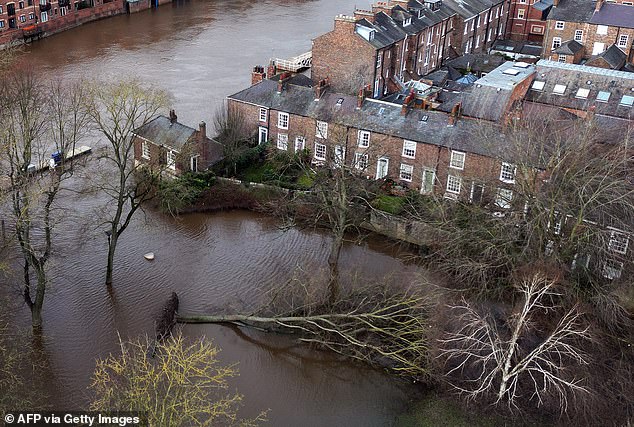 Ein umgestürzter Baum liegt im Wasser, nachdem am 24. Januar die Ufer des Flusses Ouse nach dem Sturm Jocelyn geplatzt sind