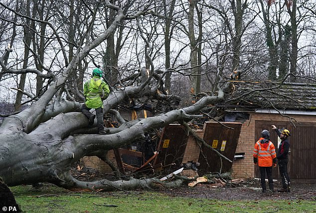 Arbeiter entfernen einen Baum, der während des Sturms Isha am Sonntag auf ein Umspannwerk auf dem Kinnaird-Anwesen in Larbert gefallen ist