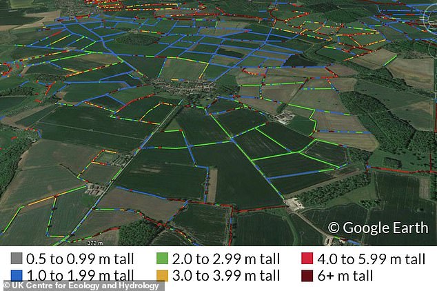 Im Bild sind die Heckenhöhendaten des Teams überlagert mit Hecken in der Landschaft von Lincolnshire