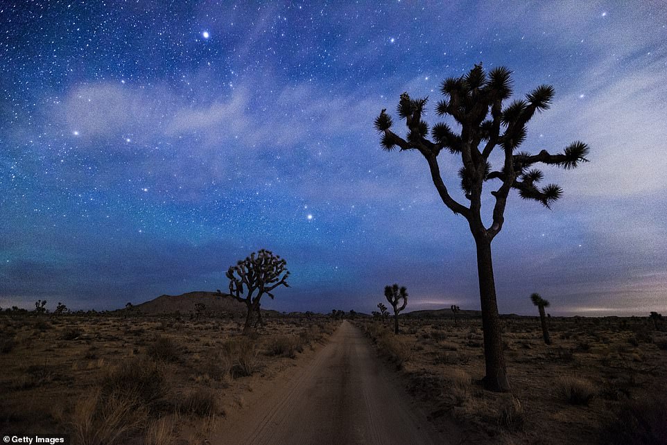 Joshua Tree National Park in California is a beautiful location for fans of the great outdoors who are looking to gaze into a scenic night sky in a thriving area of more than 800,000 acres. However, visitors should make sure to bring their sunblock since daytime temperatures at the park can reach over 100 degrees