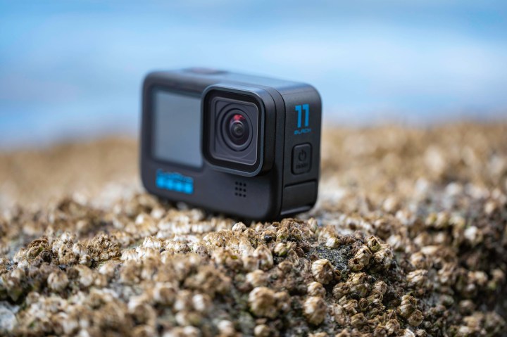 Die GoPro Hero 11 Black auf einem Felsen mit Seepocken am Meer.