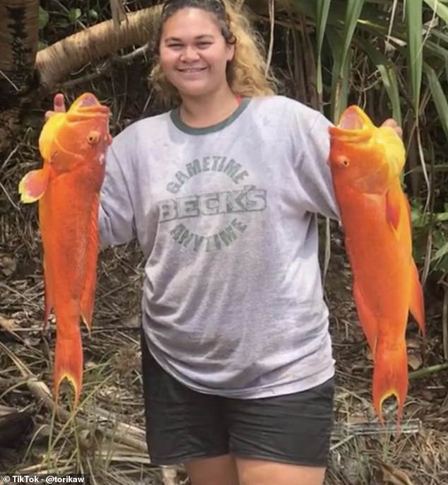 Torika Christian, 21, hat über TikTok Ausschnitte aus ihrem Leben auf Pitcairn geteilt und erzählt DailyMail.com, dass der weit entfernte Felsvorsprung im südlichen Pazifik ein „einzigartiger“ Ort zum Leben sei