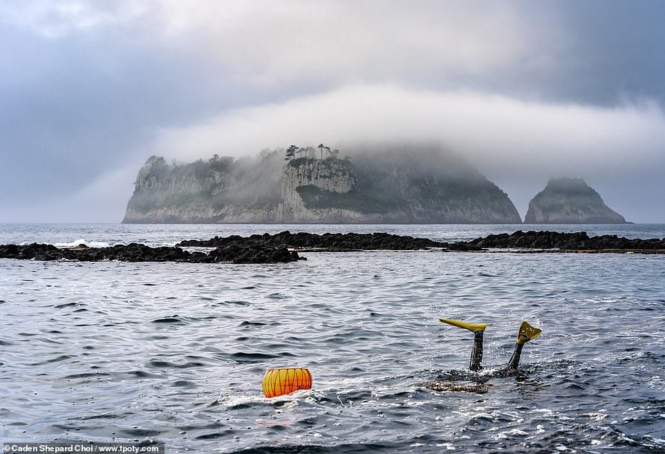 The Haenyeo ‘sea mermaids’ of Jeju island, South Korea, are women who free-dive for hours at a time in search of ocean treasures such as abalone and sea urchin. This entrancing photo of one disappearing beneath the waves as fog veils an island in the background was taken by 14-year-old Caden Shepard Choi from the U.S. She said of her picture, which earned her the runner-up spot in the '14 years and under' category: 'I took this image of a Haenyeo just as she plunged back into the ocean with perfect form.' Caden added that 'most of [the divers] look like my grandmother, with short permed hair, high cheekbones and fine lines around their eyes'