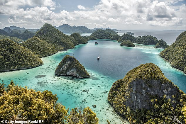 Das Korallendreieck (oben) erstreckt sich von Indonesien bis zu den Salomonen – und ist eine der letzten großen Wildnisgebiete der Erde
