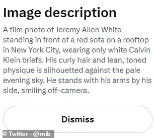 Die erste Bildbeschreibung beschreibt „ein Filmfoto von Jeremy Allen White, der vor einem roten Sofa auf einem Dach in New York City steht“.